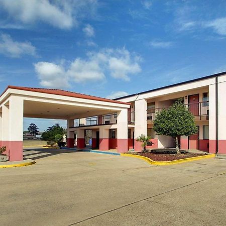 Econo Lodge Inn & Suites Forest Bagian luar foto